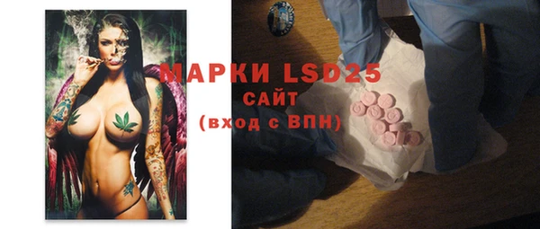 PSILOCYBIN Няндома