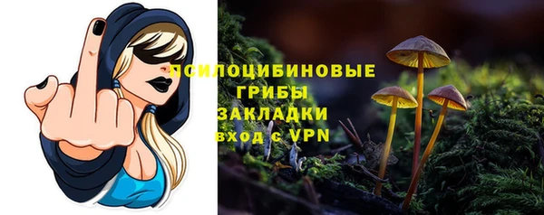 МДМА Новодвинск