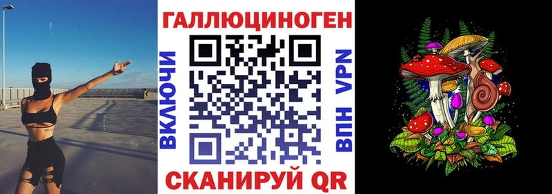 хочу наркоту  Нахабино  Псилоцибиновые грибы GOLDEN TEACHER 