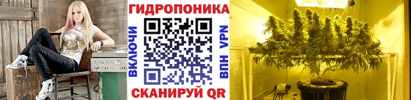 Бошки марихуана гибрид купить закладку Нахабино